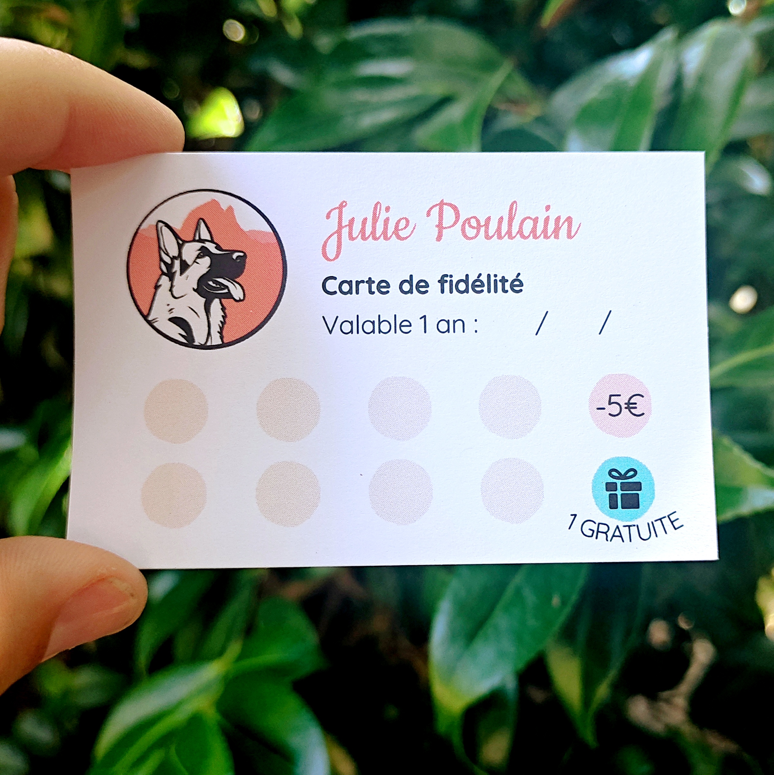 Mantrailing, pistage, recherche personnes disparues, cavage, recherche de truffes, détection canine, détection sportive