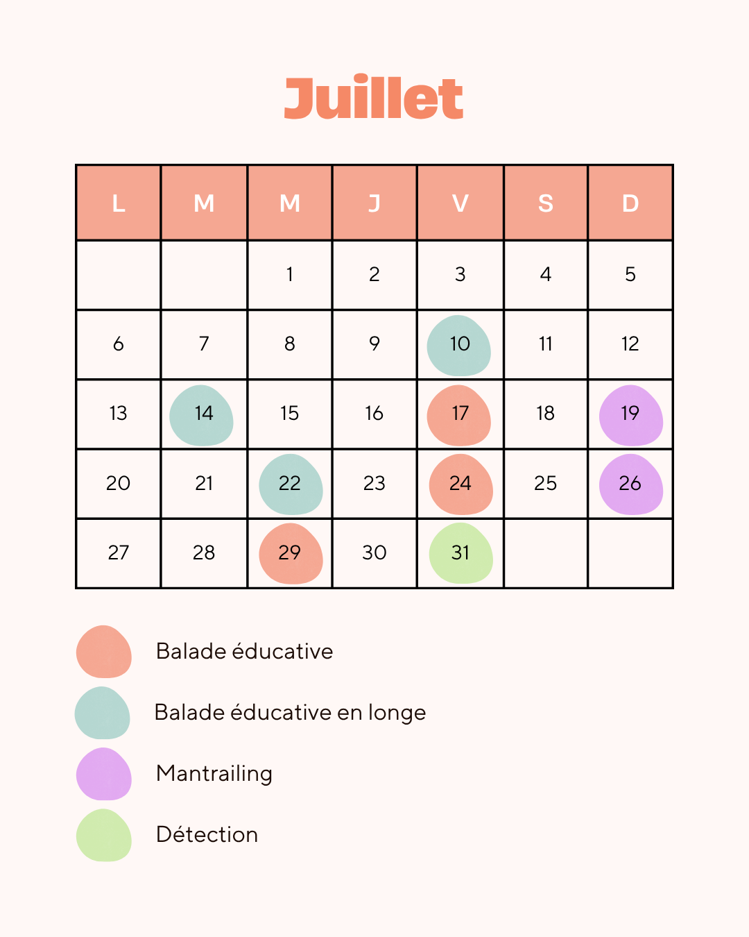 Planning%202026-07