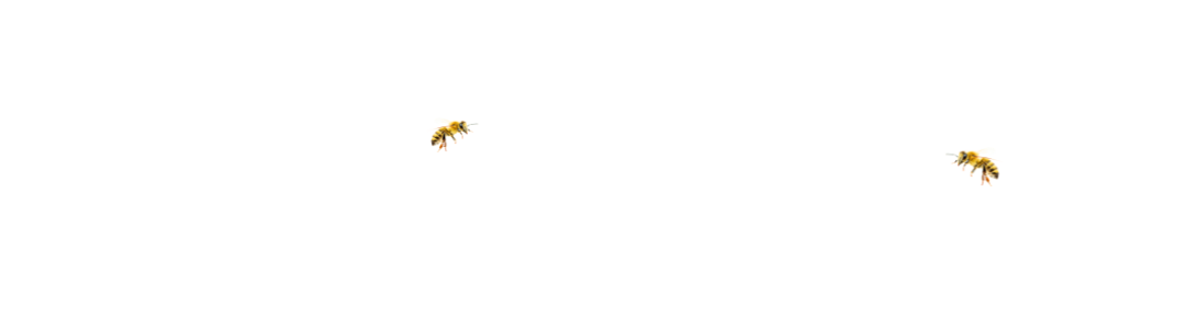 je%20suis%20Karine%2C%20une%20femme
