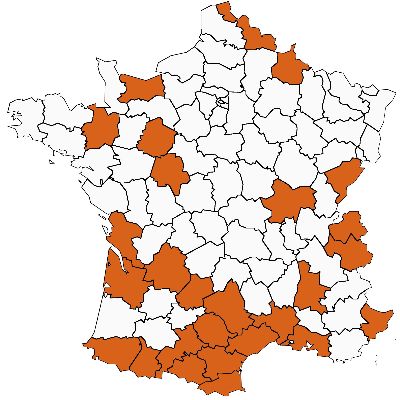 carte%20color3