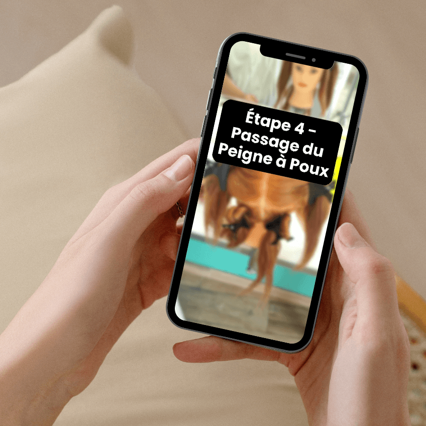 Formation%20nvx%201%20-%20etape%204