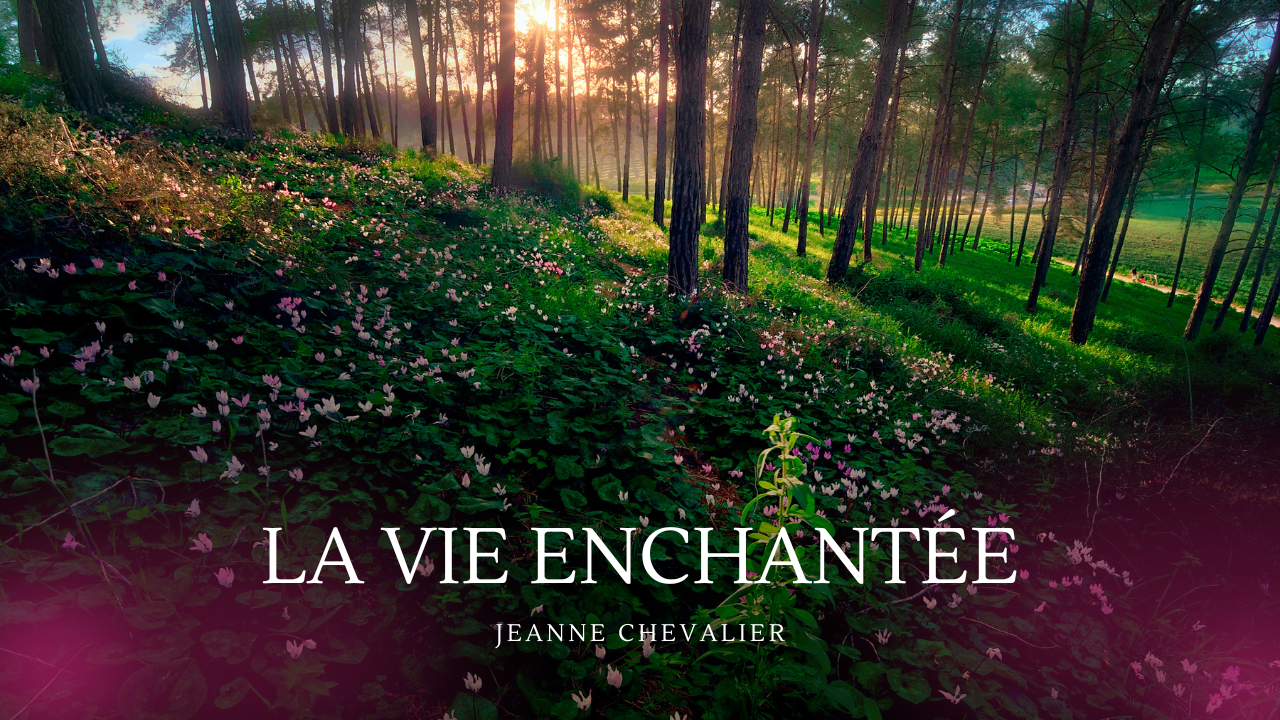 Couv%20-%20La%20Vie%20Enchant%C3%A9e%20(1)