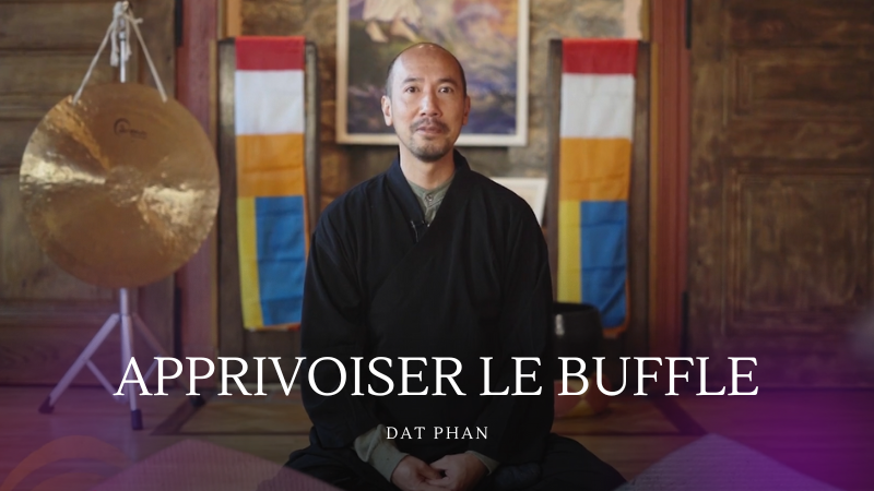 Test%20buffle%203%20(6)