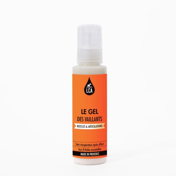le-gel-des-vaillants