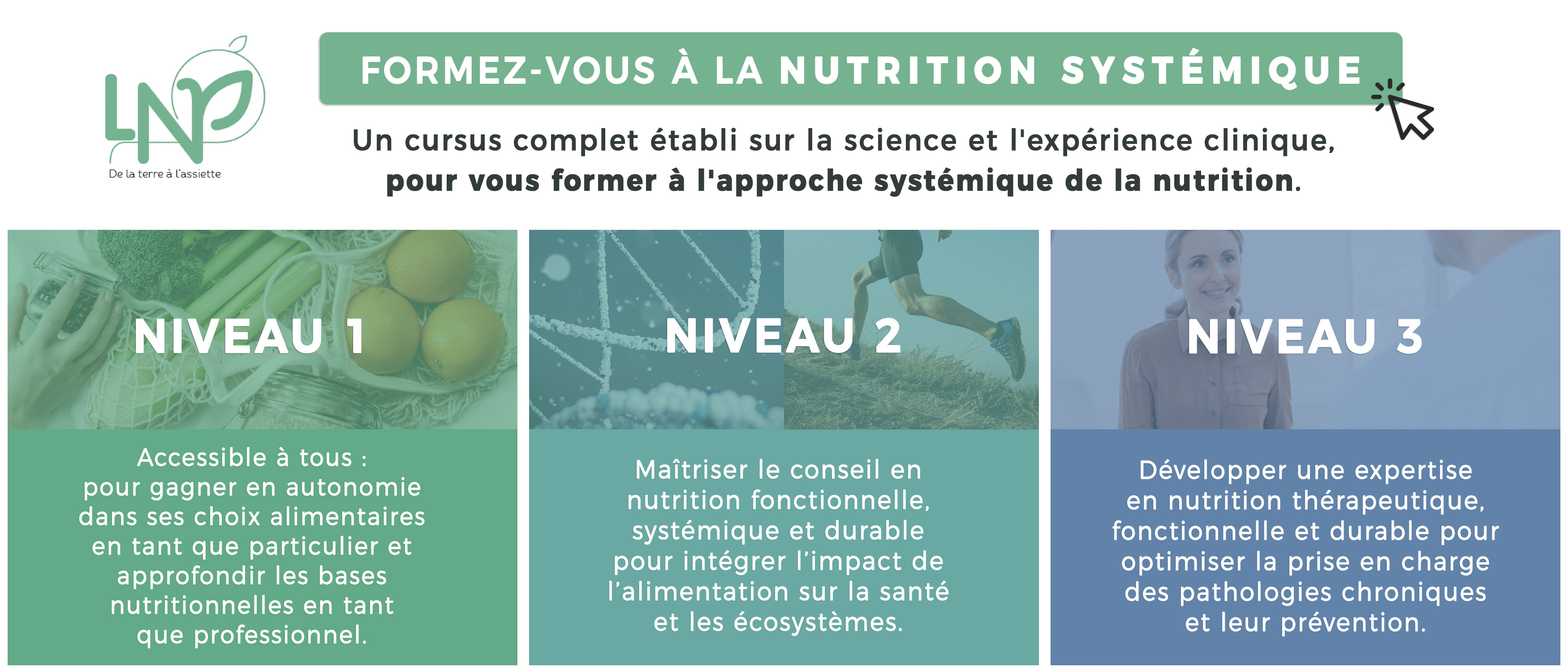 Bandeau-formation-nutrition-syste%CC%81mique-test