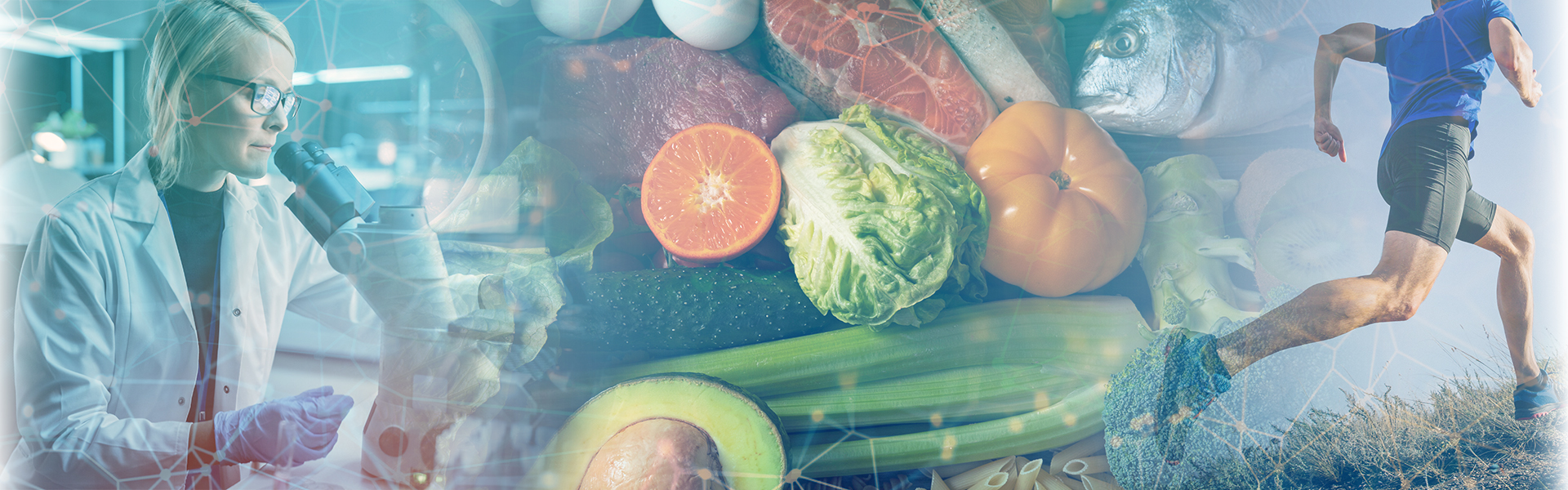 formation dieteticien anthony berthou