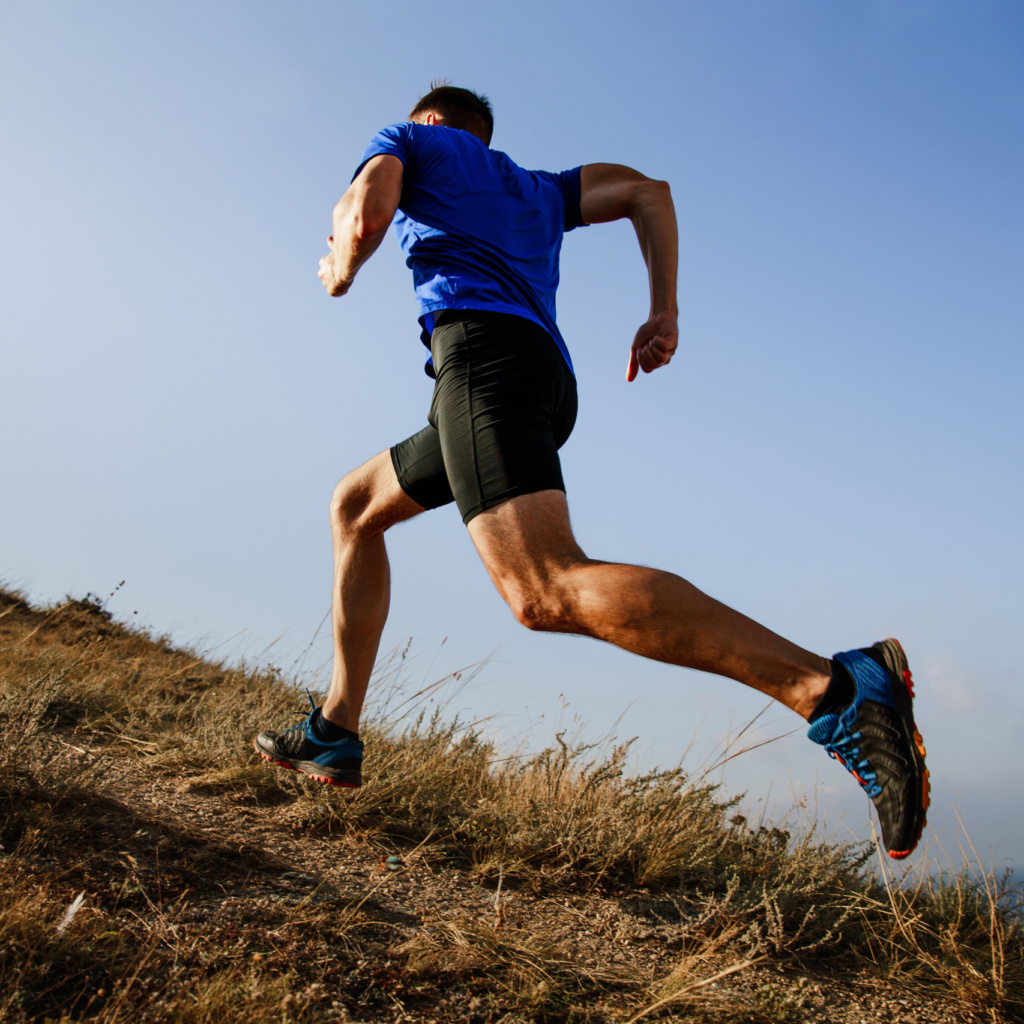 Thème 1 Niveau 4 Formation nutrition : Maîtriser les fondamentaux de la nutrition sportive