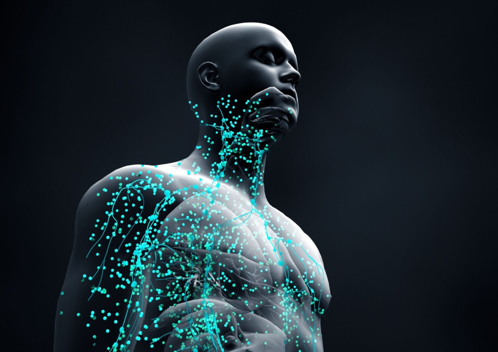 Thème 1 Niveau 6 Formation nutrition : Accompagner les troubles et pathologies dysimunnitaires