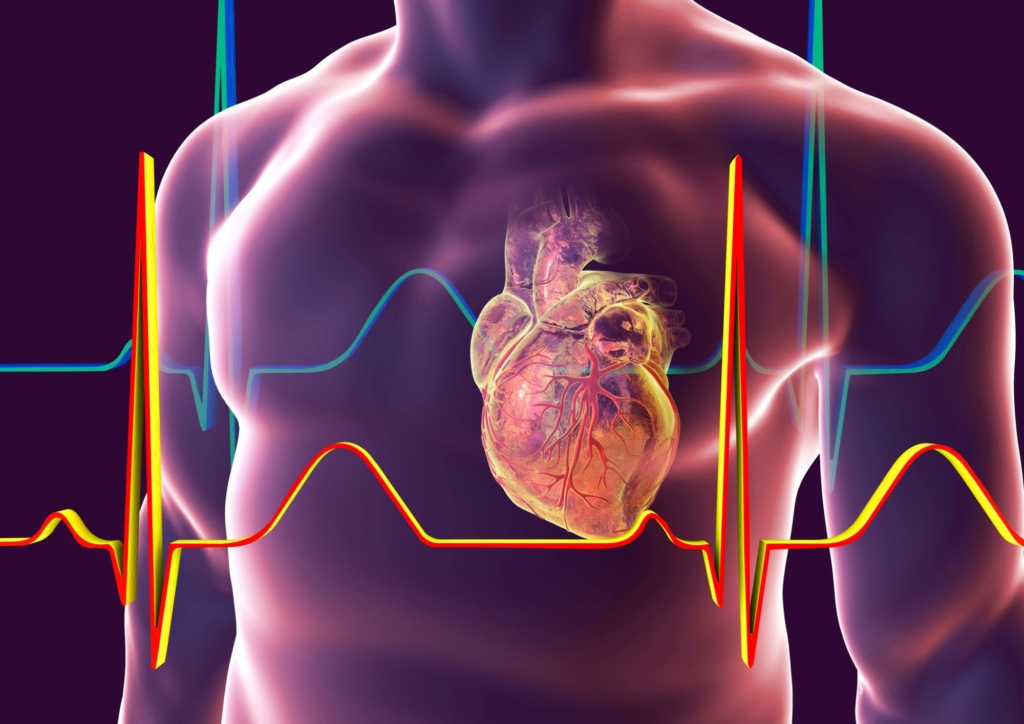 Thème 3 Niveau 5 Formation nutrition : Accompagner les troubles et pathologies cardiovasculaires