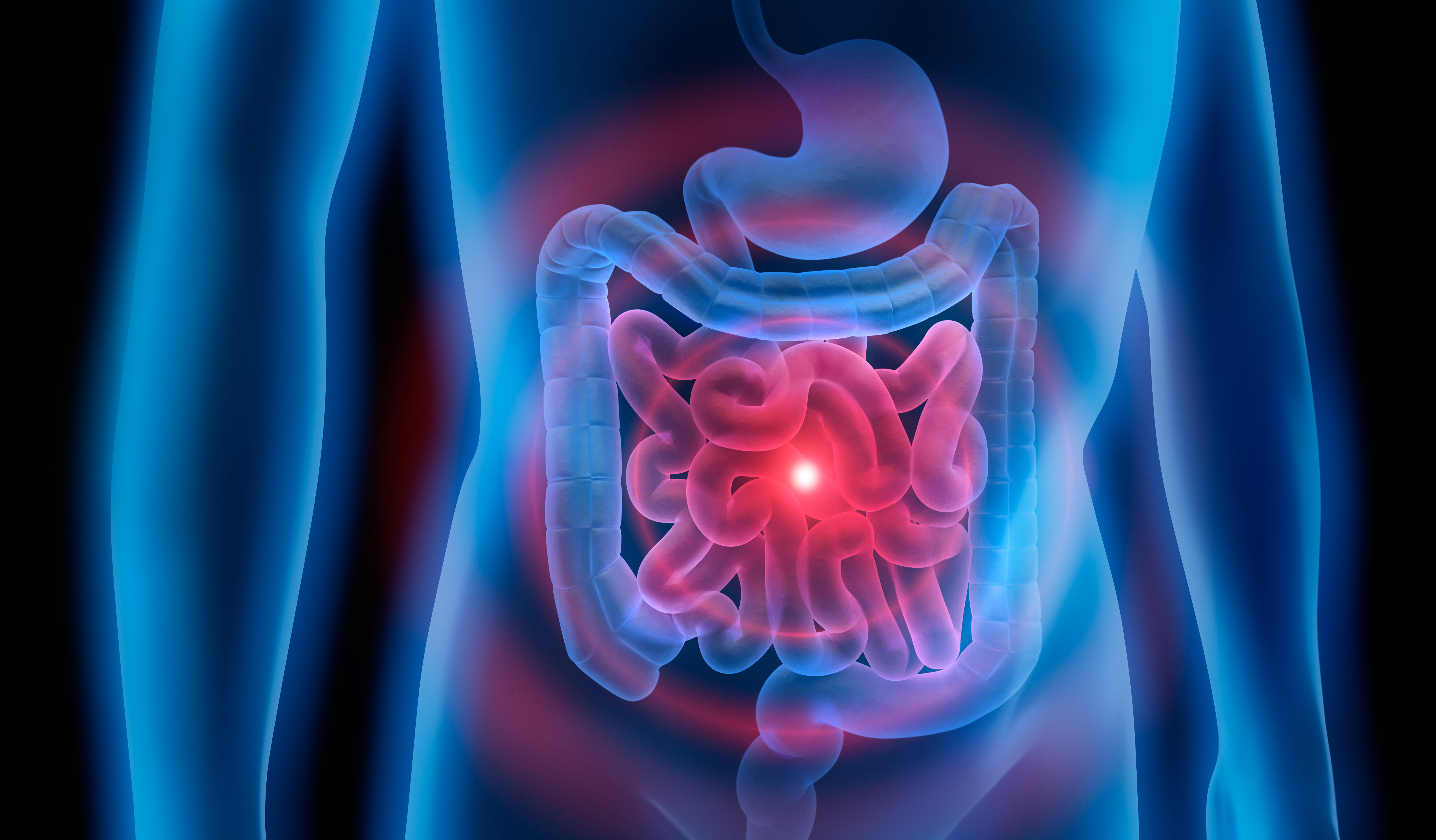 Thème 1 Niveau 5 Formation nutrition : Accompagner les troubles digestifs