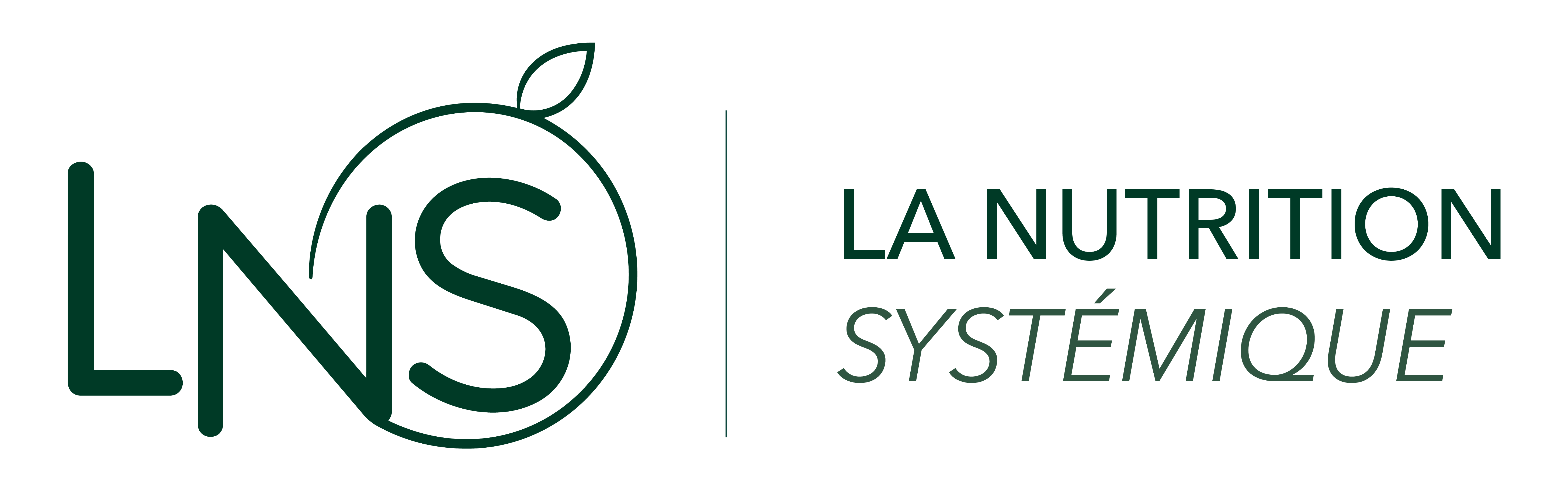 logo-LNS