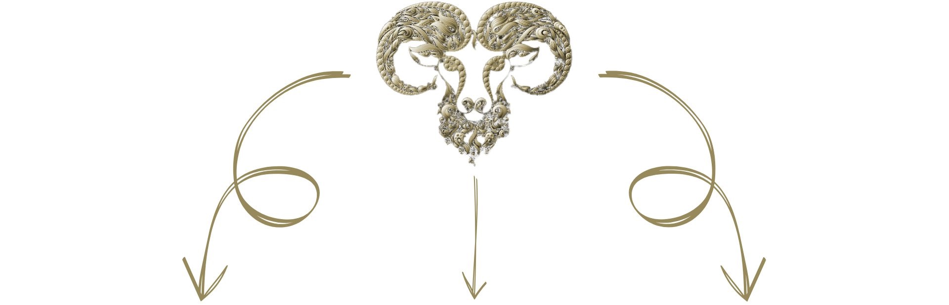 Design%20sans%20titre%20copie%202