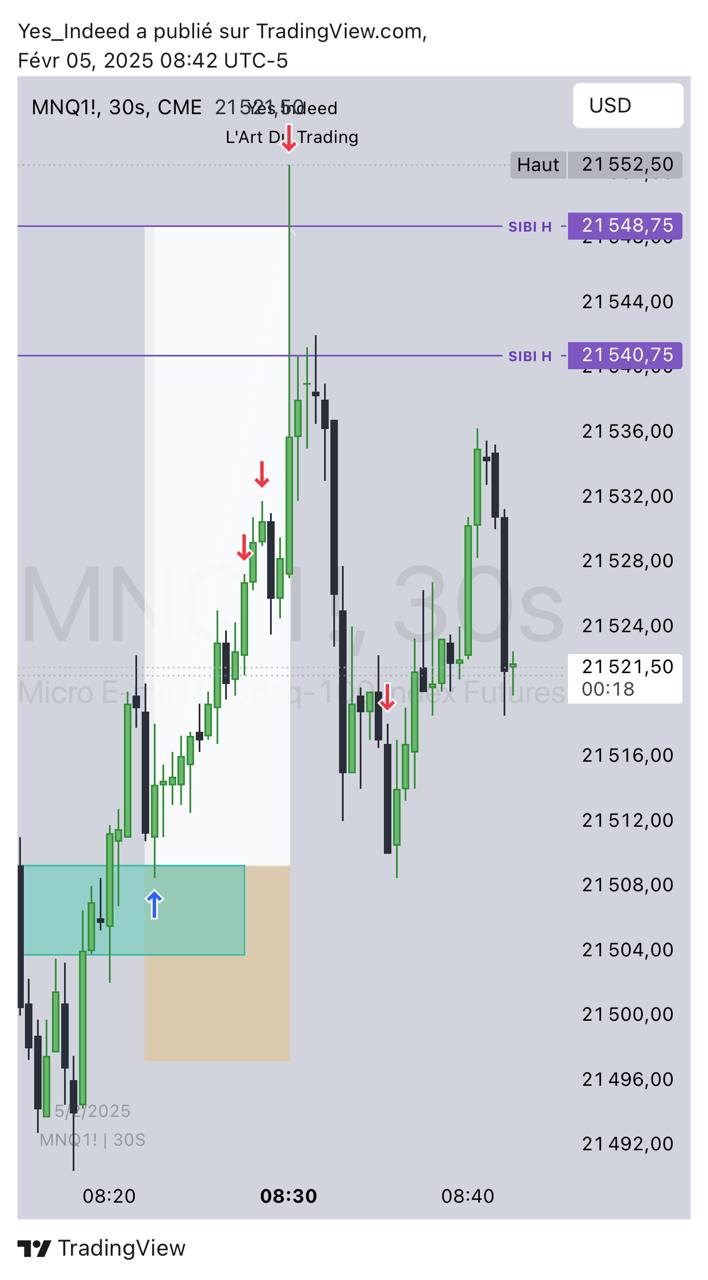 formation%20principale