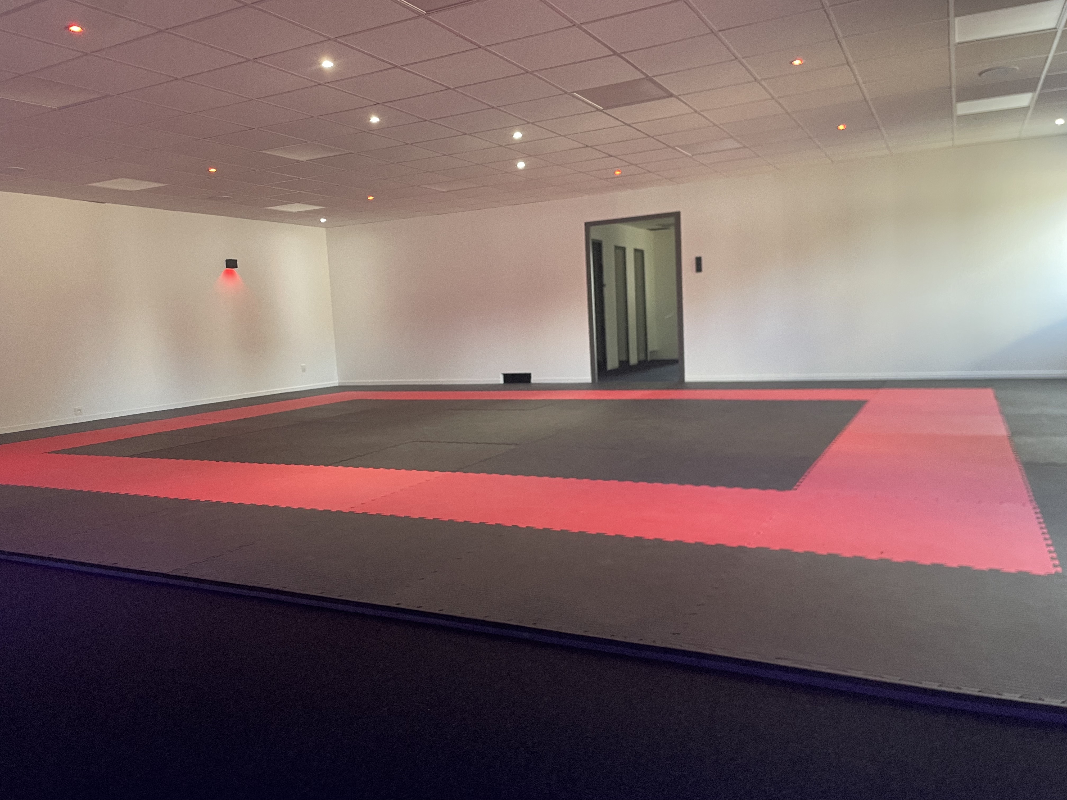 Dojo%20studio