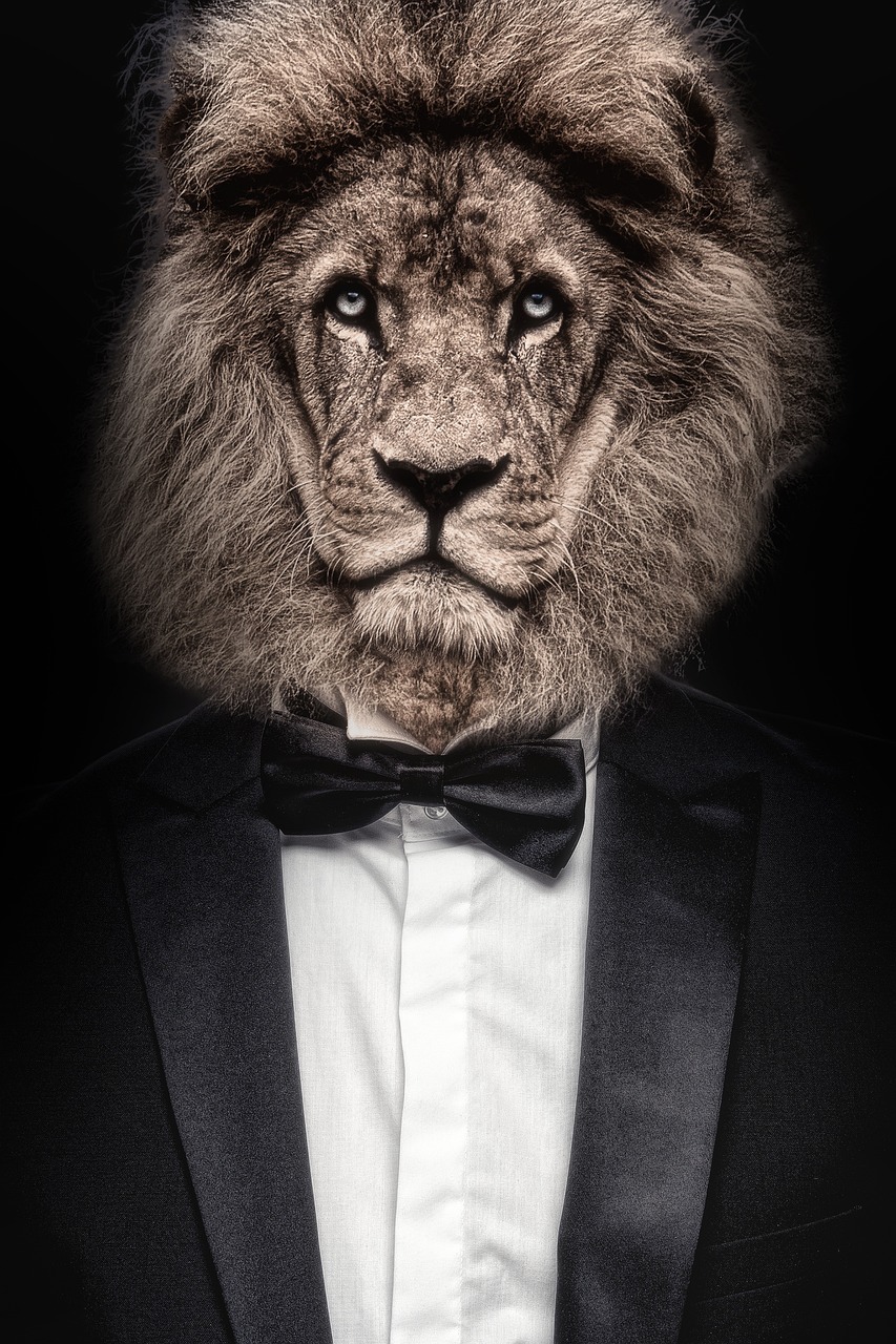 lion-6359892_1280 lion-6359892_1280