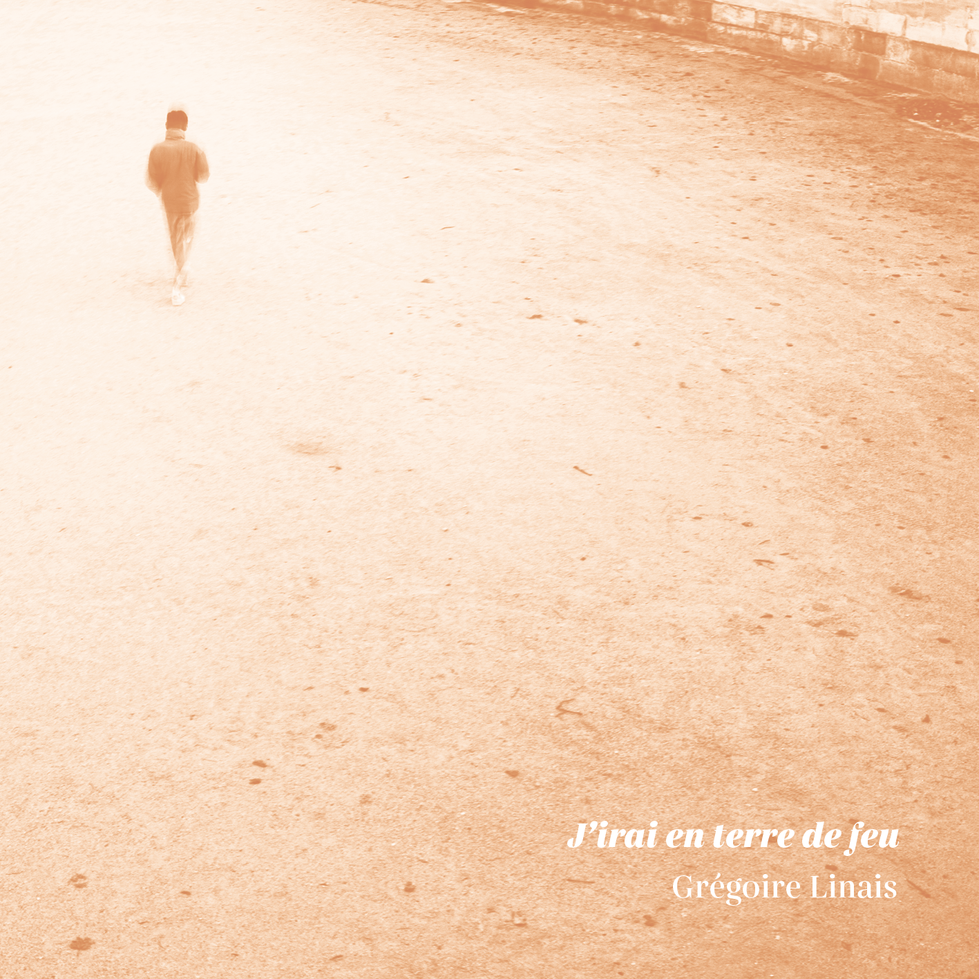 GregoireLinais-PochetteAlbums-51