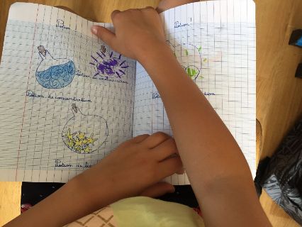 En classe, ici représentation des potions, de "concentration" décoctions de "communication", après la récolte ! En classe, ici représentation des potions, de "concentration" décoctions de "communication", après la récolte !