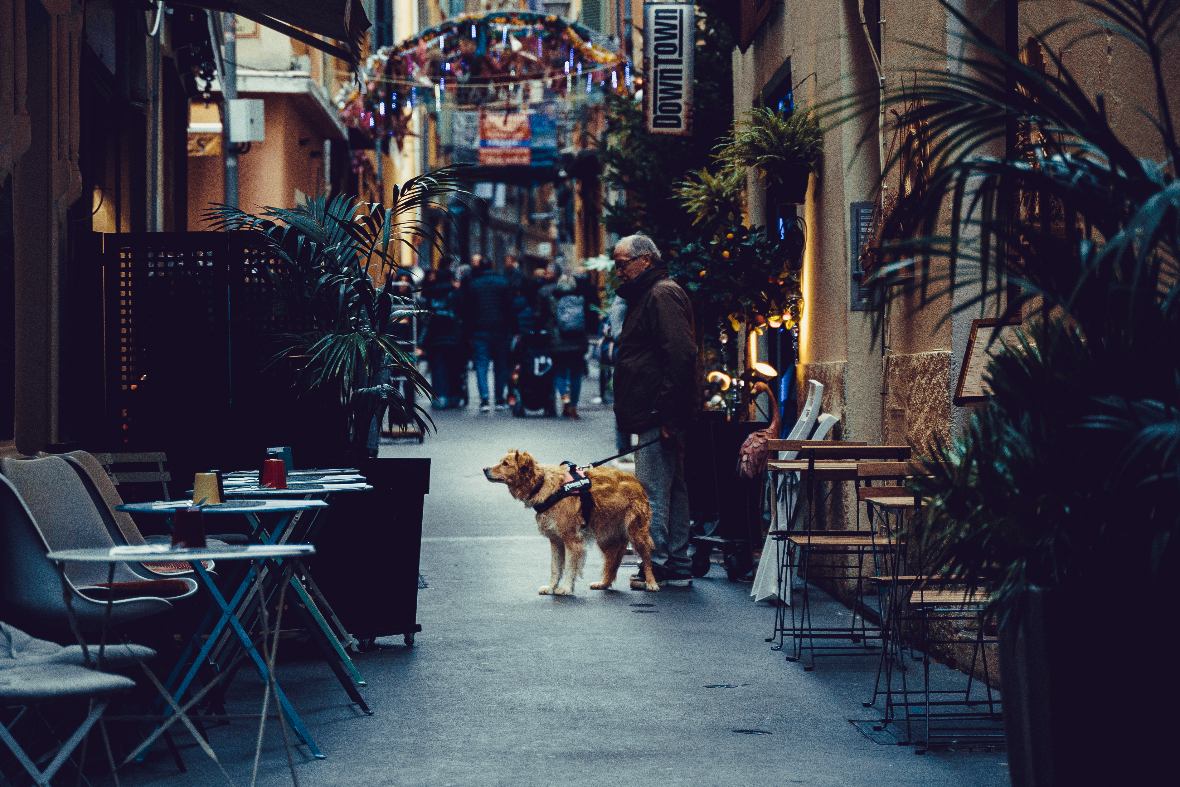 _DSC5950-1