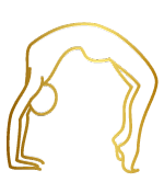 icon2