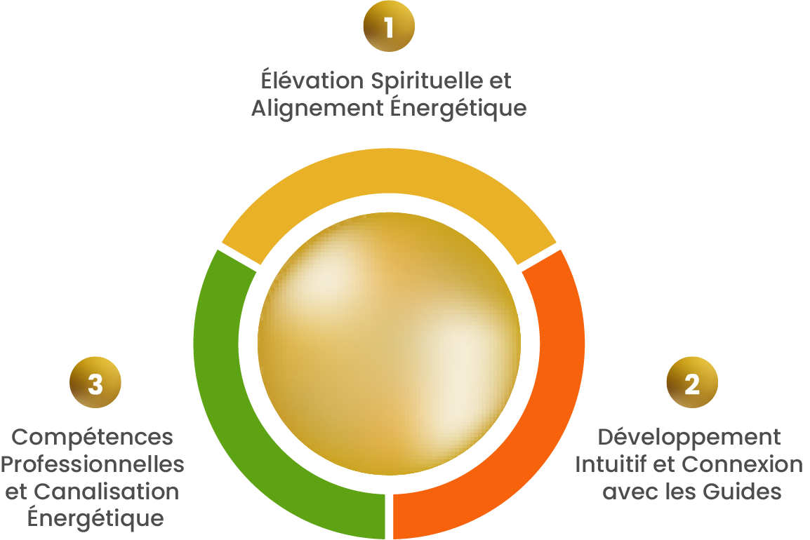cercle-niveaux-de-competences