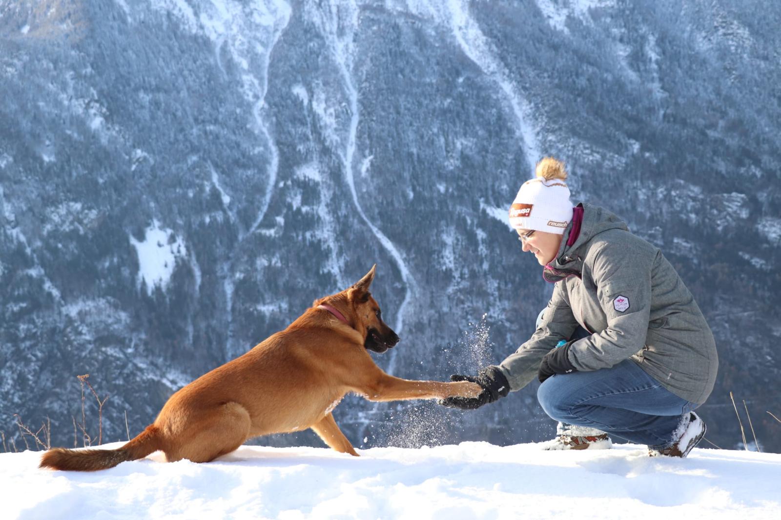 M%C3%A9l%20et%20Cartouche%20dans%20la%20neige