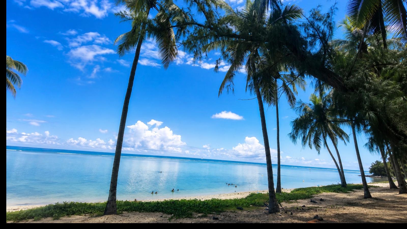 Rencontres sans frontières – Île de la Réunion 2026