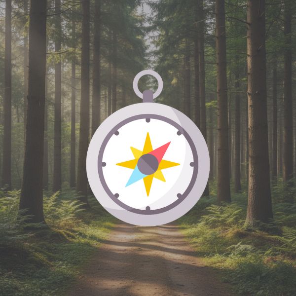 bousssolle bousssolle