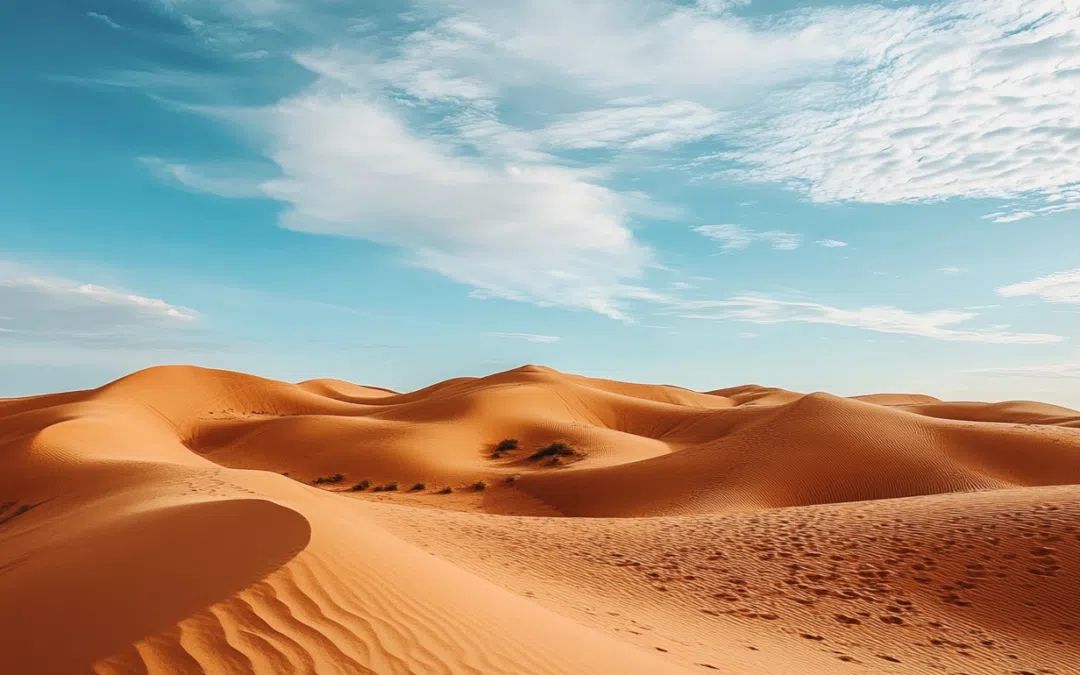 Trek Sahara – Maroc Octobre 2026