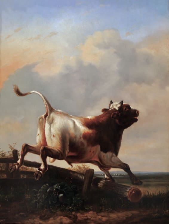 1849-Rosa-Bonheur-1822-1899-Muye 1849-Rosa-Bonheur-1822-1899-Muye