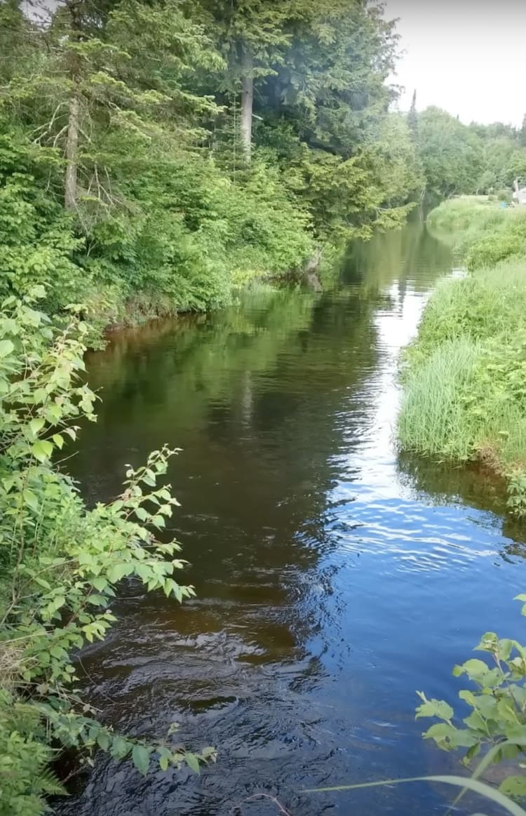 peindre harmonie colorée
