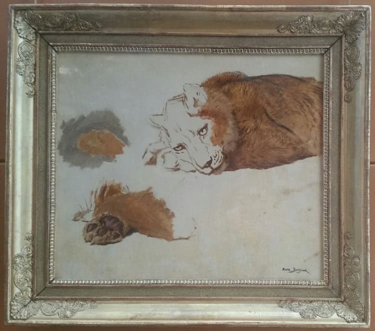 Rosa_Bonheur%2C_E%CC%81tude_de_lionne Rosa_Bonheur%2C_E%CC%81tude_de_lionne