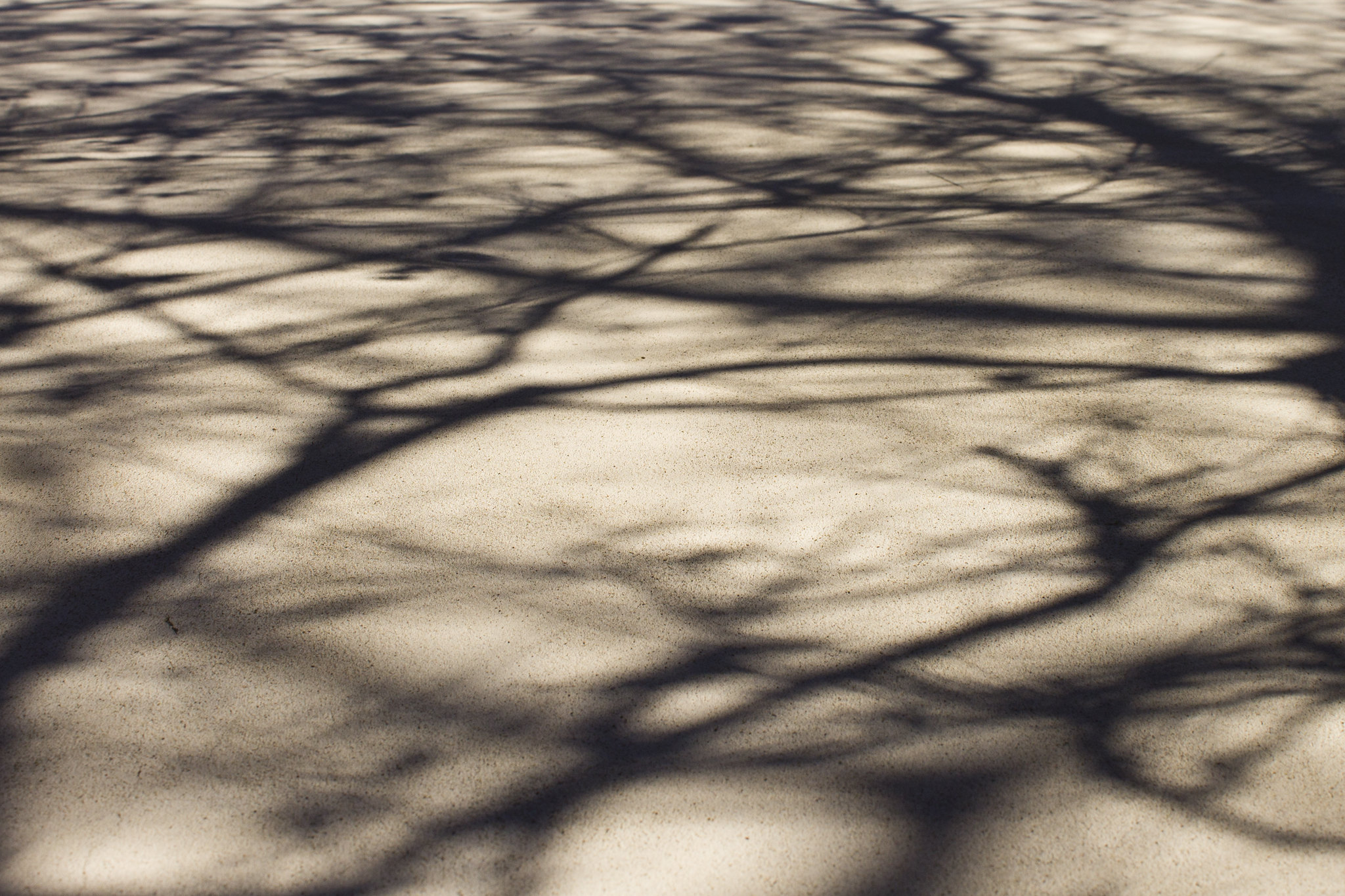 Comment rendre les ombres et les lumières en peinture