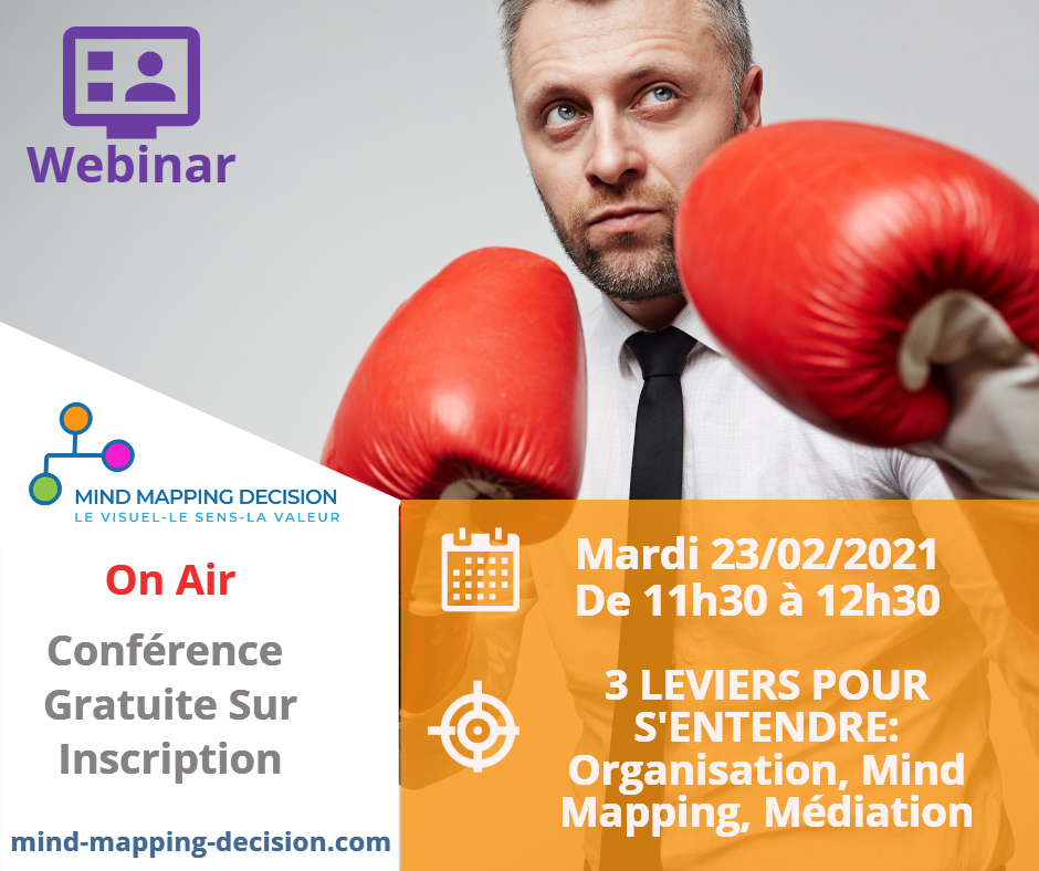 Webinar Gratuit Managers : Bénéfices de la DataVisualisation 3 Exemples