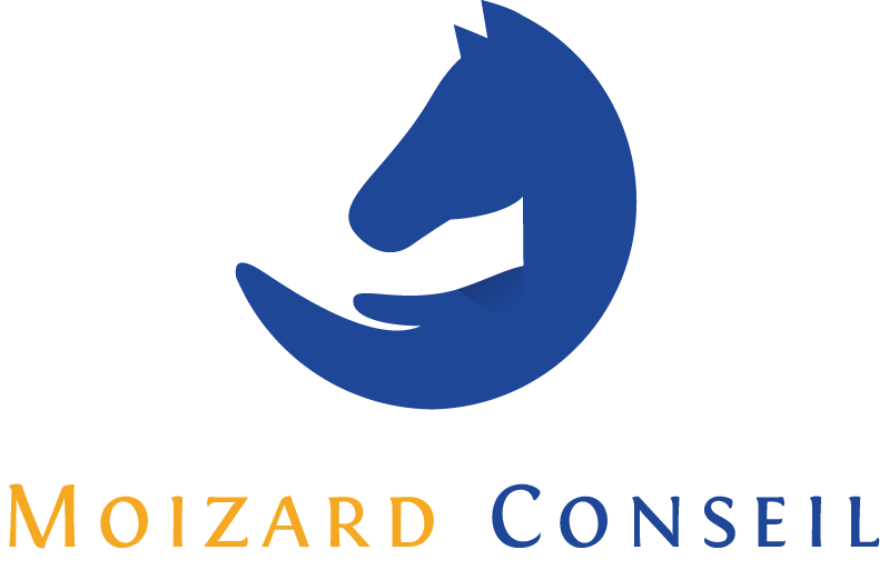 logo%20Moizard%20Conseil