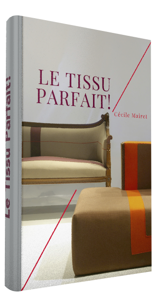 COUV%20EBOOKtissu'%203D(1)