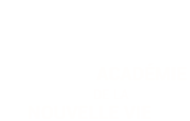 logo-academie-nouvelle-vie-definitif-210