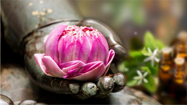 Vignette_WP__600x338