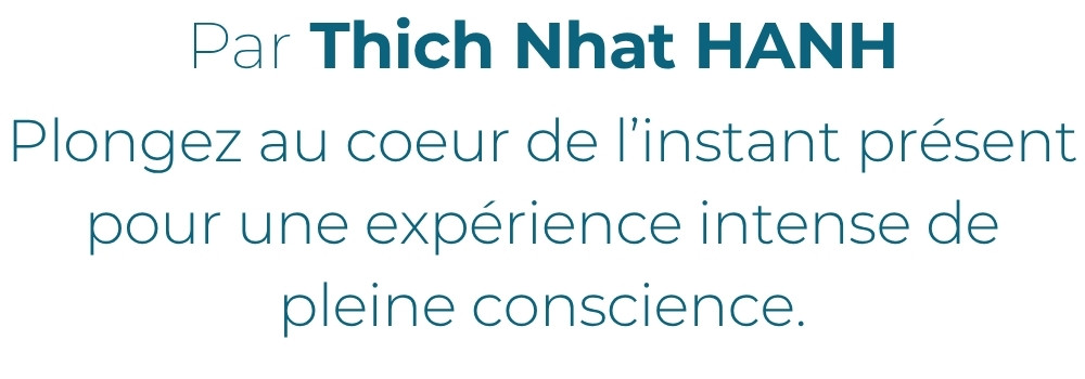 THICH%20NHAT%20HANH-%20TEXTE%20GALERIE
