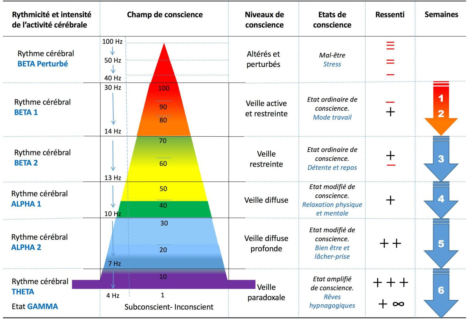 Progression des effets bénéfiques de la Méthode BMB Progression des effets bénéfiques de la Méthode BMB