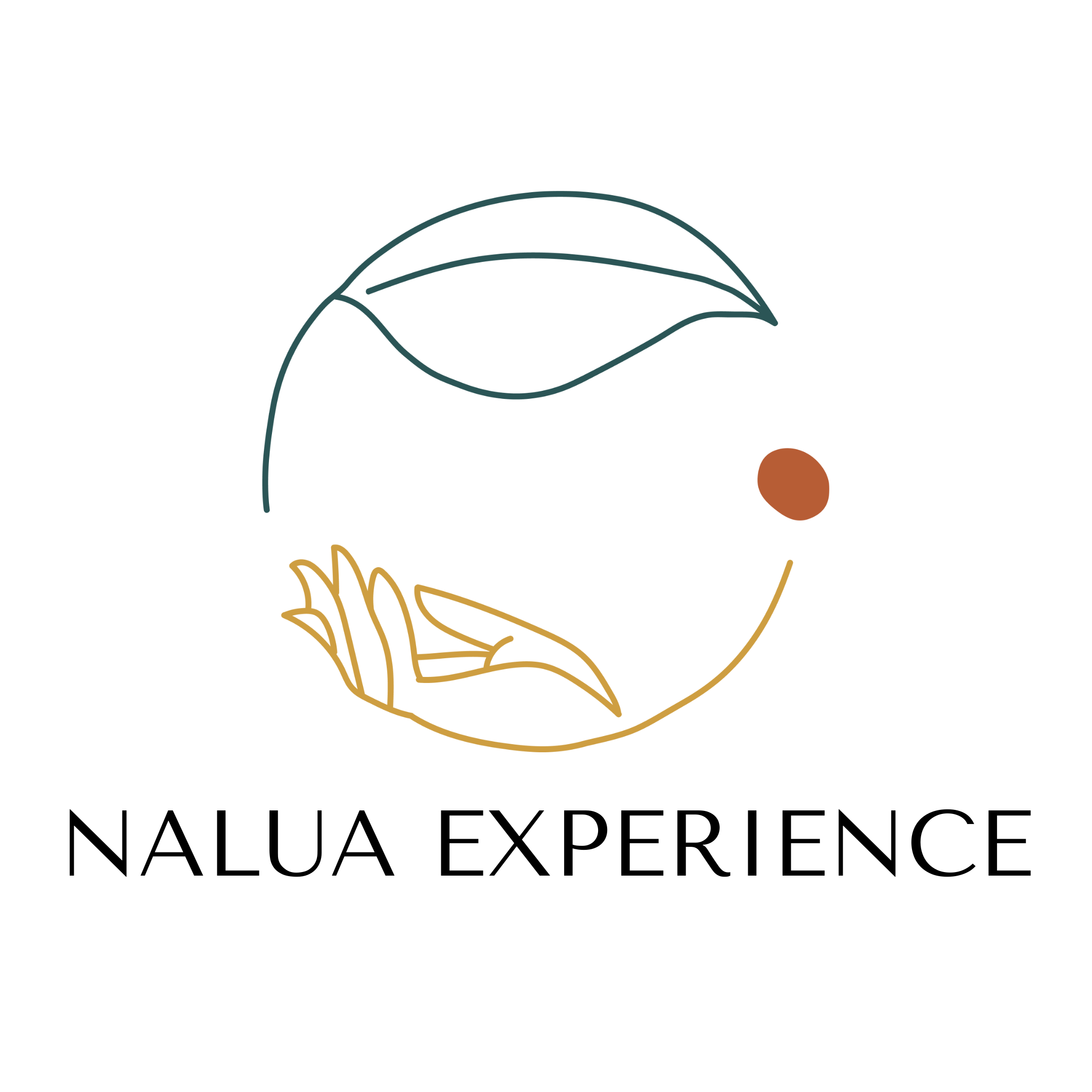 Nalua%20Experience%20-%20logo%20-%20Fond%20transparent