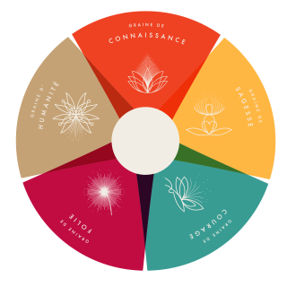 Roue%205%20graines%20-%20Logo%20__320x320 Roue%205%20graines%20-%20Logo%20__320x320