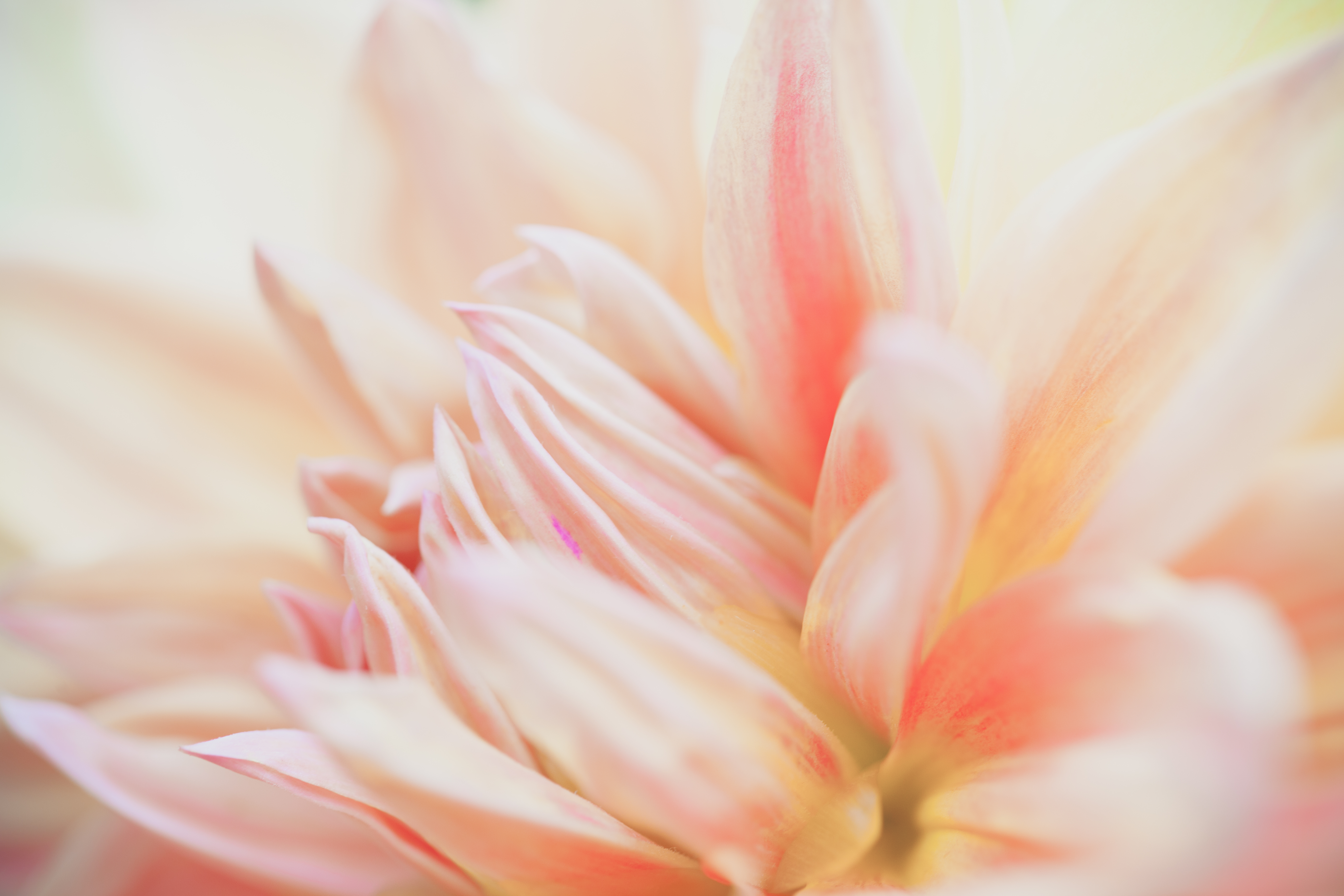 Douceur et sérénité grâce à la sophrologie