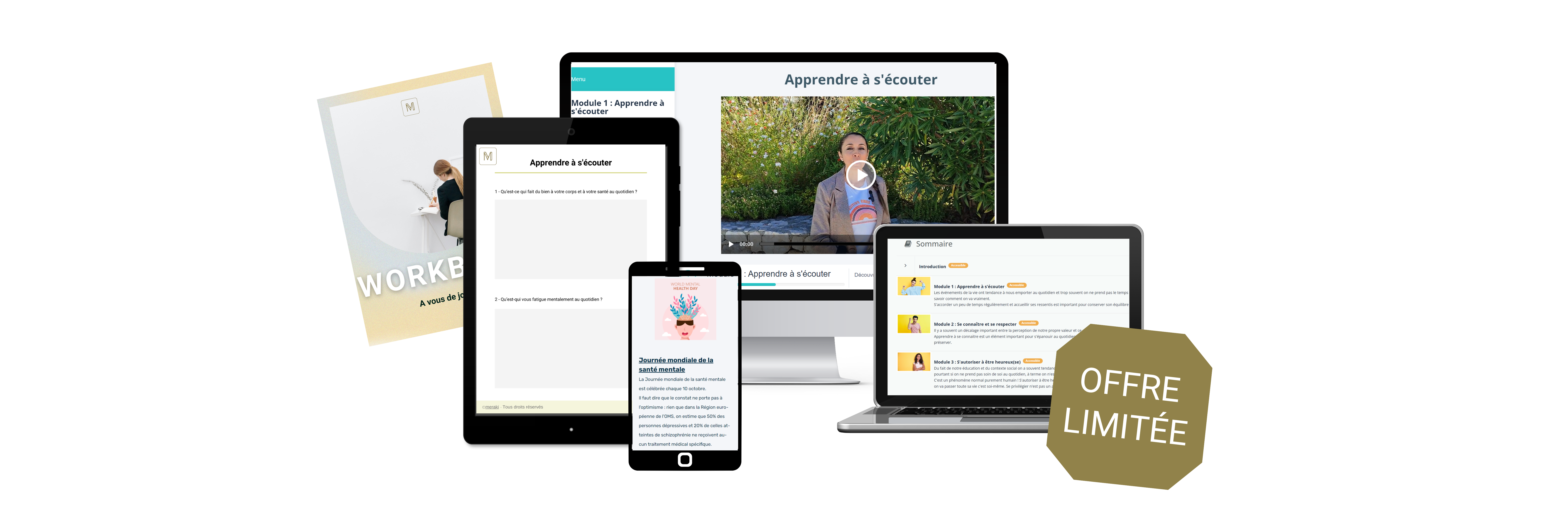 logo_meraki_learnybox%20(2)(1)