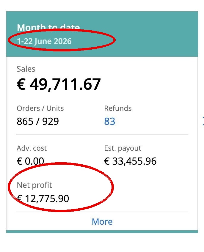 Capture Sellerboard avec date et profit net