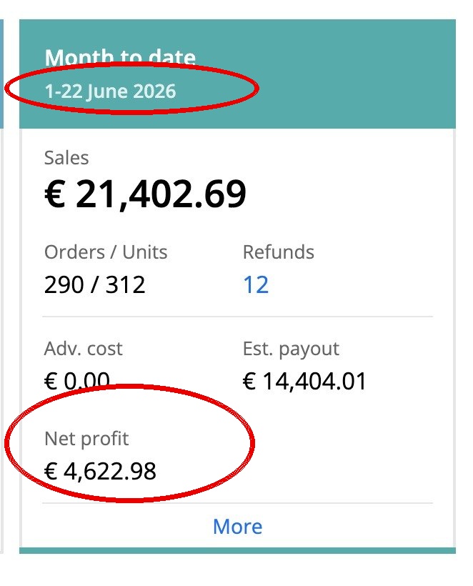 Capture Sellerboard avec date et profit net