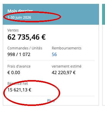 Capture Sellerboard avec date et profit net