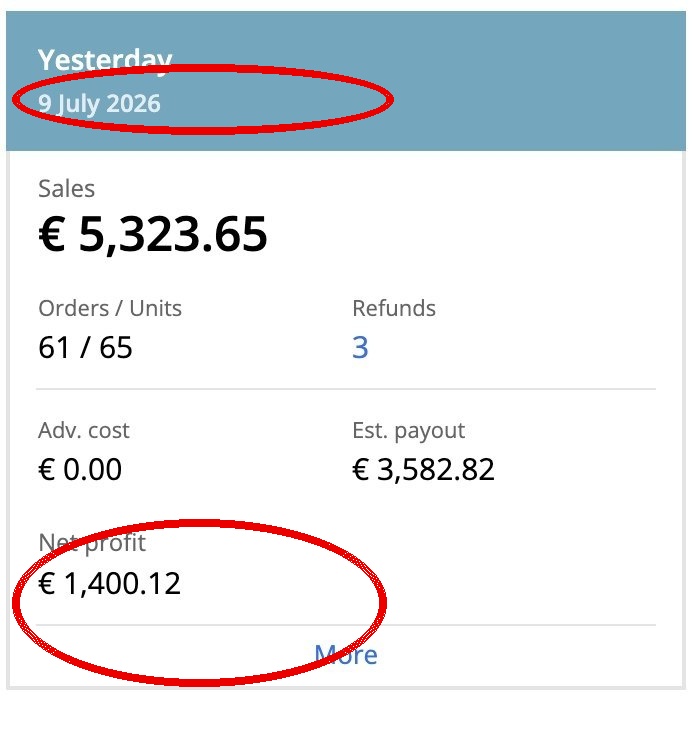 Capture Sellerboard avec date et profit net