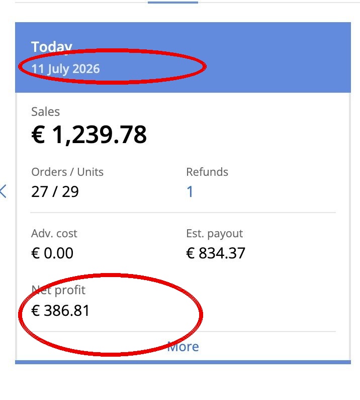 Capture Sellerboard avec date et profit net
