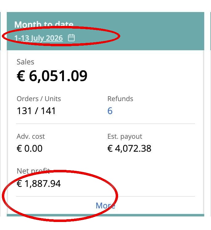 Capture Sellerboard avec date et profit net