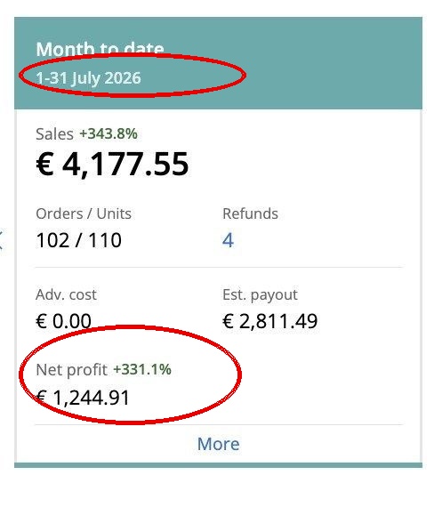 Capture Sellerboard avec date et profit net